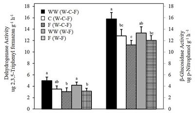 Decline in Soil Microbial Abundance When Camelina Introduced Into a Monoculture Wheat System